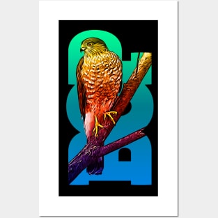 BOP-Bird of Prey Posters and Art